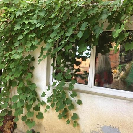 فندق Casa Cu Curte براشوف المظهر الخارجي الصورة